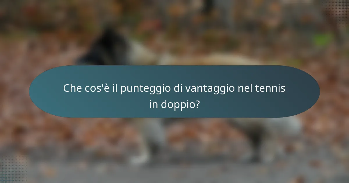 Che cos'è il punteggio di vantaggio nel tennis in doppio?