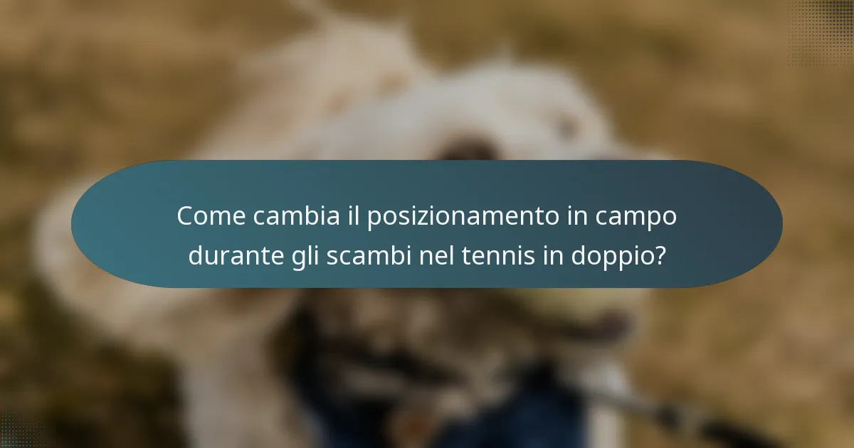 Come cambia il posizionamento in campo durante gli scambi nel tennis in doppio?