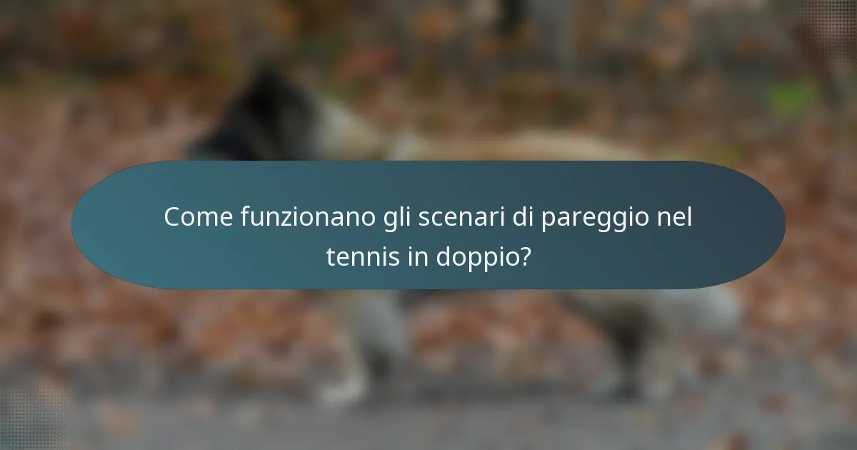 Come funzionano gli scenari di pareggio nel tennis in doppio?