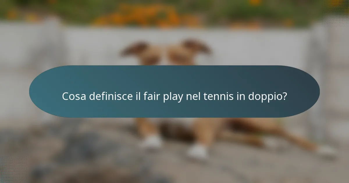 Cosa definisce il fair play nel tennis in doppio?