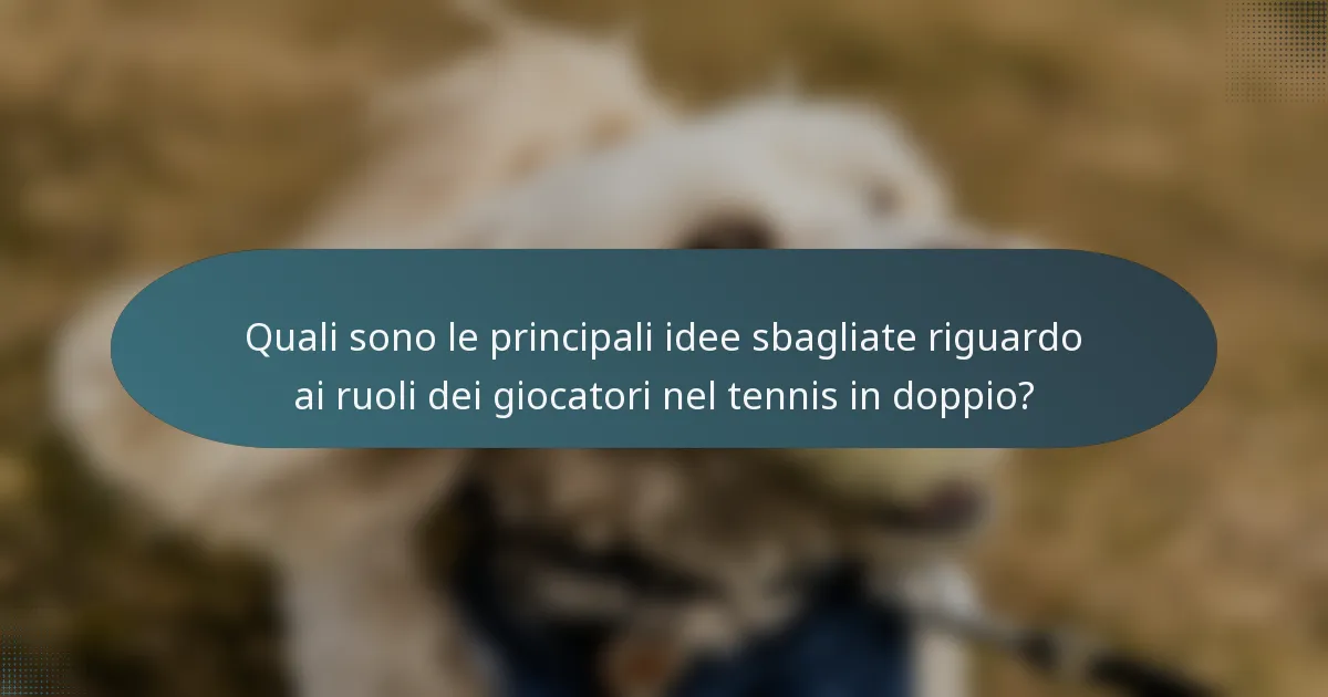 Quali sono le principali idee sbagliate riguardo ai ruoli dei giocatori nel tennis in doppio?